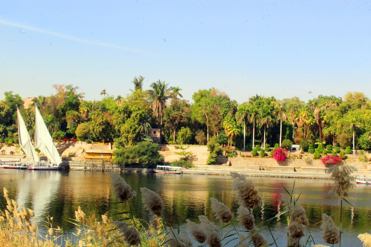Hamo Guest House Aswan Eksteriør billede